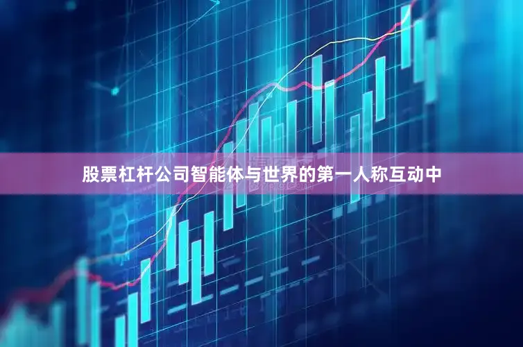 股票杠杆公司智能体与世界的第一人称互动中