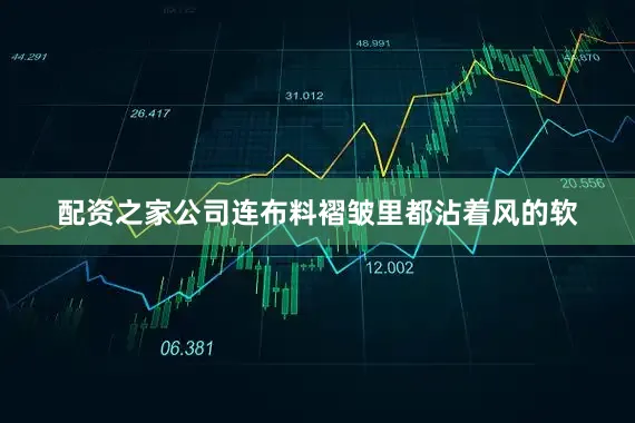 配资之家公司连布料褶皱里都沾着风的软