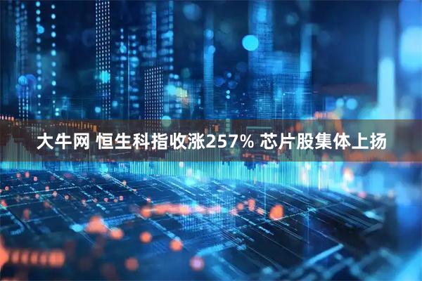 大牛网 恒生科指收涨257% 芯片股集体上扬