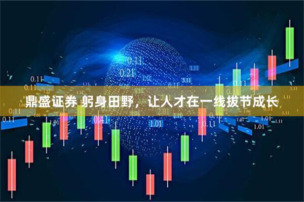 鼎盛证券 躬身田野，让人才在一线拔节成长