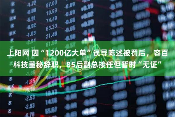 上阳网 因“1200亿大单”误导陈述被罚后，容百科技董秘辞职，85后副总接任但暂时“无证”