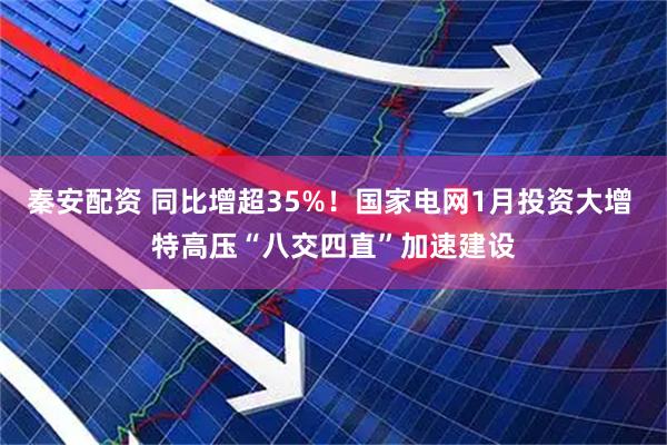 秦安配资 同比增超35%！国家电网1月投资大增 特高压“八交四直”加速建设