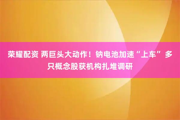 荣耀配资 两巨头大动作！钠电池加速“上车” 多只概念股获机构扎堆调研