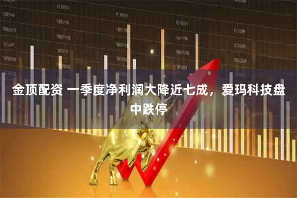 金顶配资 一季度净利润大降近七成，爱玛科技盘中跌停